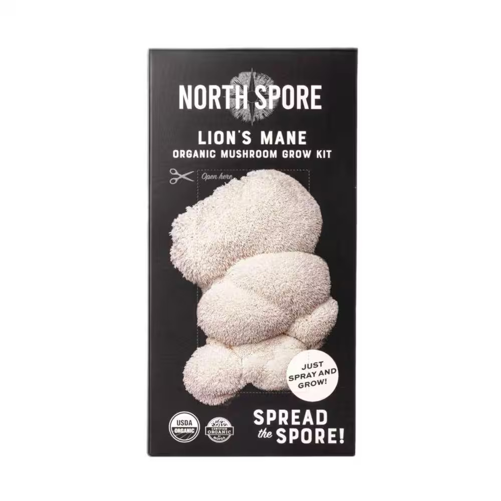 Organic Lion'S Mane Mushroom Spray and Grow gallery