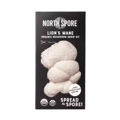 Organic Lion’S Mane Mushroom Spray and Grow