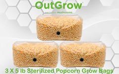 Sterilized Popcorn Grow Bag (15lbs)