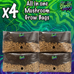Mushroom Grow Bag | 4 Pack | 4 lbs | Manure Substrate/Hydrated Oats
