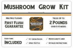 Segura & Sons Pearl Oyster Mushroom Grow Kit – First Flush Guarantee 