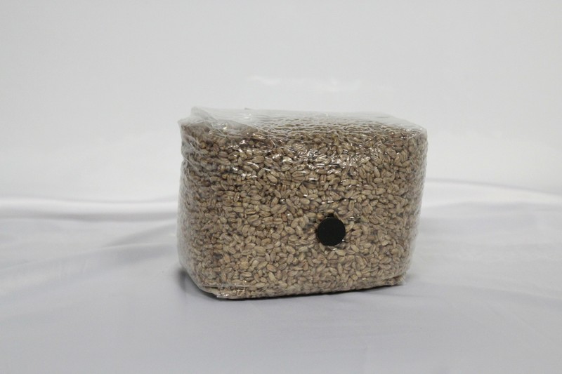 Sterile 3lbs Rye berry bag with filter patch and self healing injection port gallery