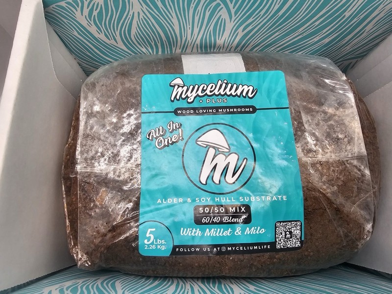 Mycelium Plus Mushroom Growing Kit, CVG Substrate Proprietary Blend (5 LBS) gallery