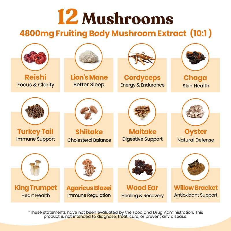 Mushroom Coffee (40 Servings) 12 Adaptogenic Mushrooms, Lion’s Mane, Cordyceps, gallery