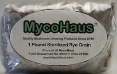 one pound sterilized rye grain bags with injection port mushroom substrate