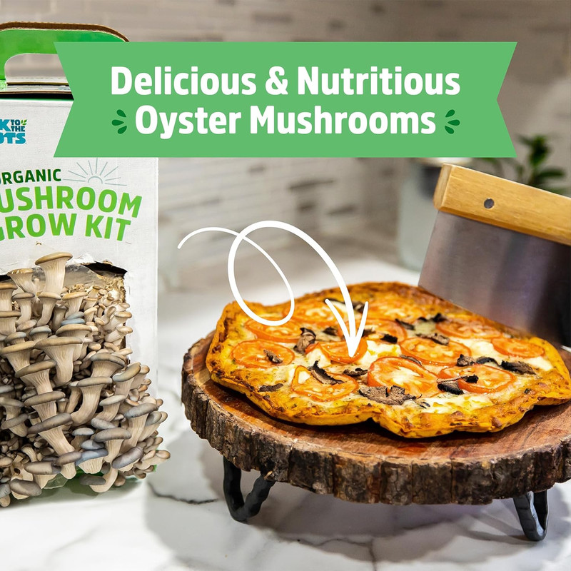 Organic Oyster Mushroom Grow Kit, Harvest Gourmet Mushrooms in 10 Days gallery