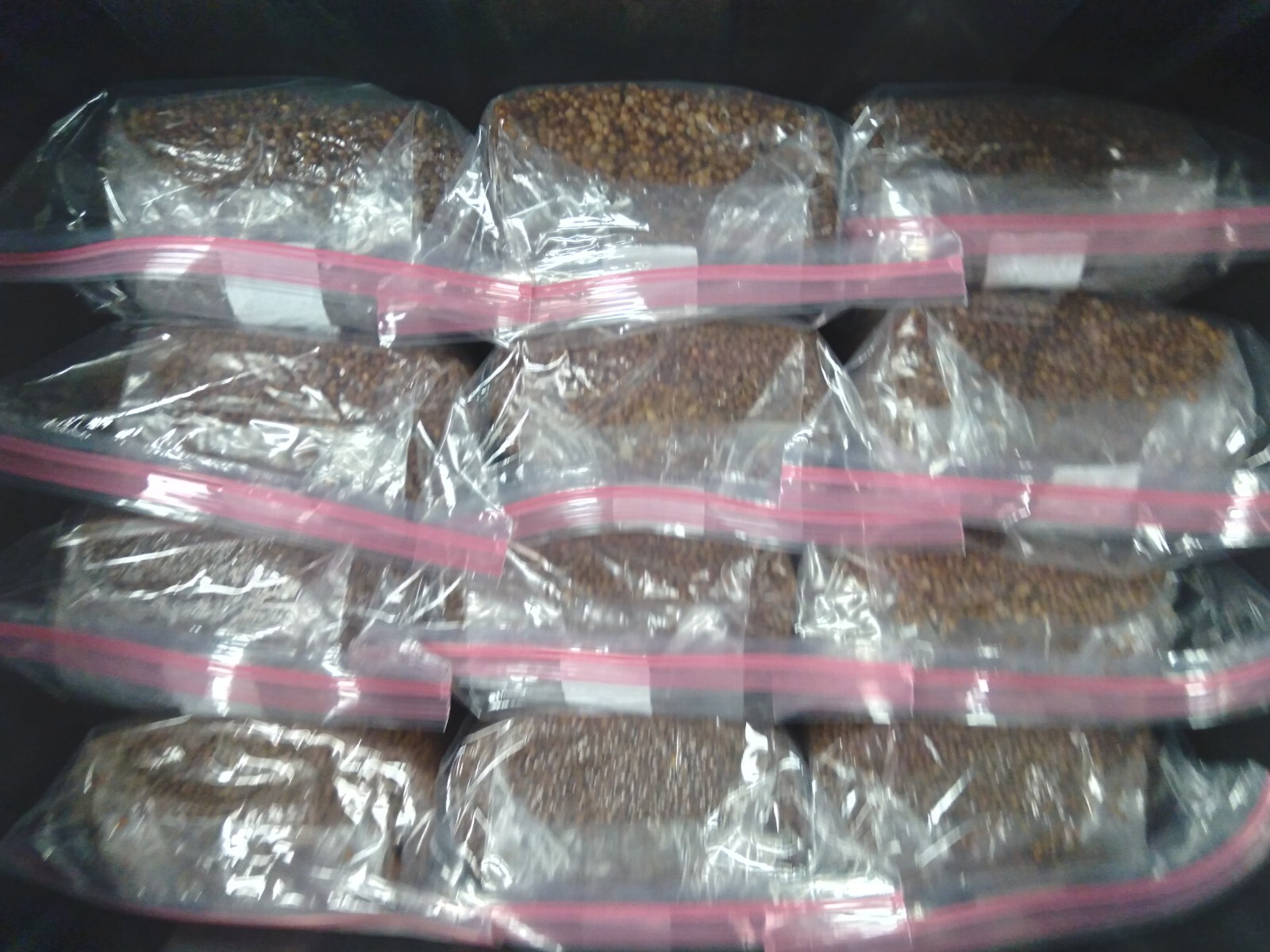 80lbs Bulk Sterilized Grain for Mushroom Spawn ,10x 8lb Bags, 80lbs Total gallery