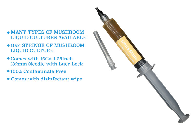 Premium Mushroom Liquid Culture Syringe | Pink Oyster (Pleurotus djamor) gallery