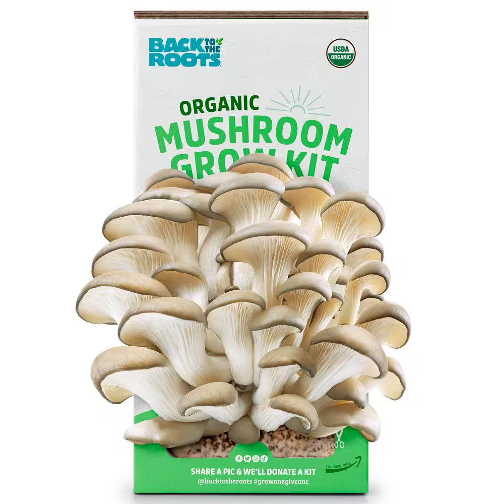 Organic Mushroom Grow Kit gallery
