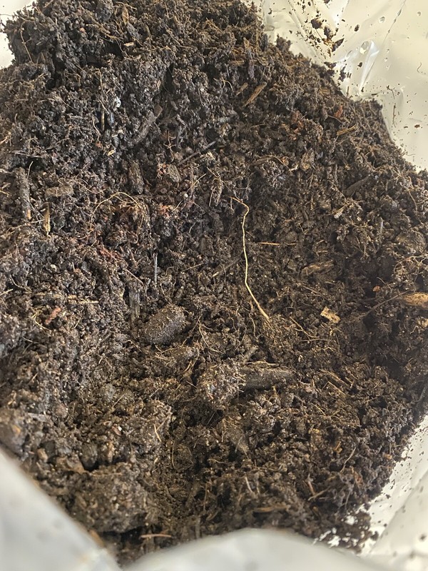 5lb Manure Base Mushroom substrate Grow Bag gallery