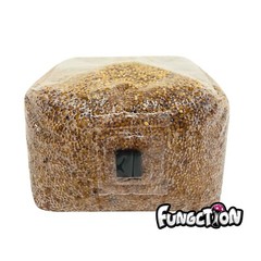 Sterilized Grain Spawn Bag w/ Self-Healing Injection Port (3 lbs)