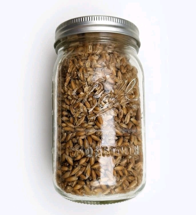 Sterilized Whole Oat Grain Spawn Jars - Pack Of 4 Quart Size Jars gallery