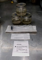 MiniQuick Liquid Culture Kit. Spore Germination. Fast And Reliable.