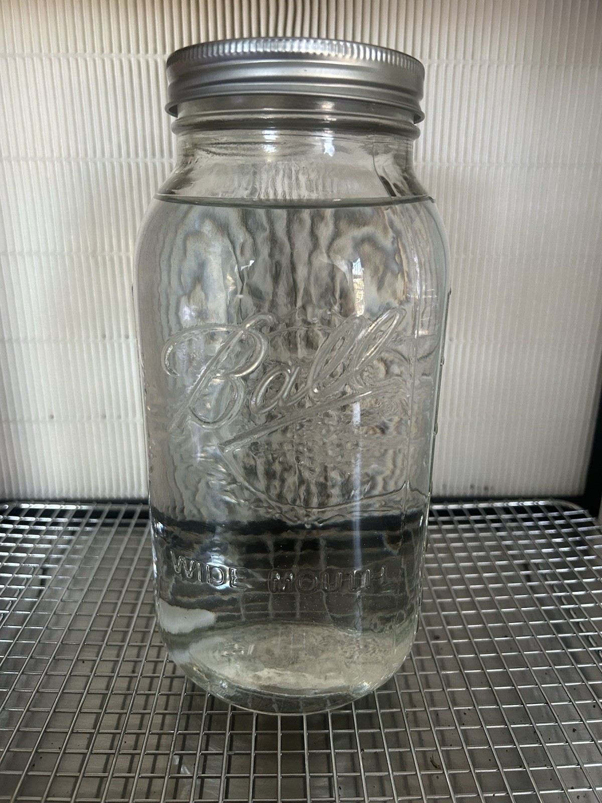XXXL 2000 mL Liquid Culture gallery