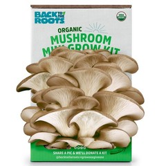 Back to the Roots Organic Mini Mushroom Grow Kit,