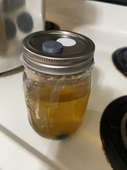 1 Pint- 350 ML Sterilized Mushroom Liquid Culture Solution