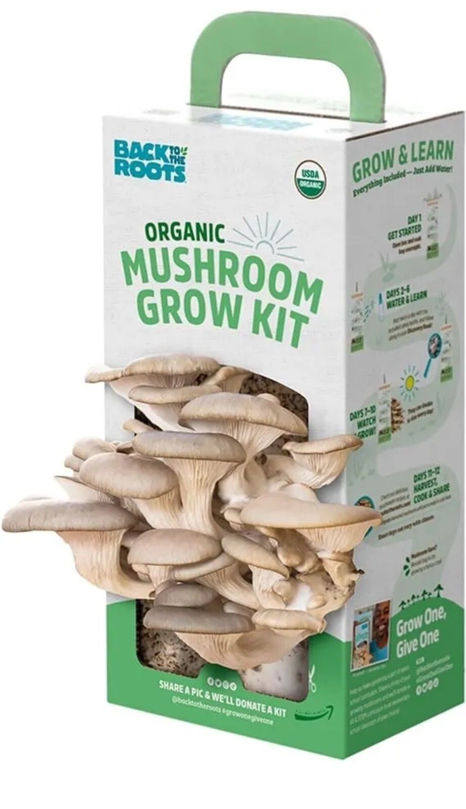 Organic Mushroom Mini Grow Kit Harvest Gourmet Pearl Oyster Complete Gardening gallery