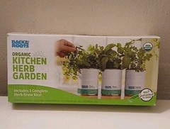 Back to the Roots Organic Kitchen Herb Garden Kit 3 Pack Mint Basil Cilantro
