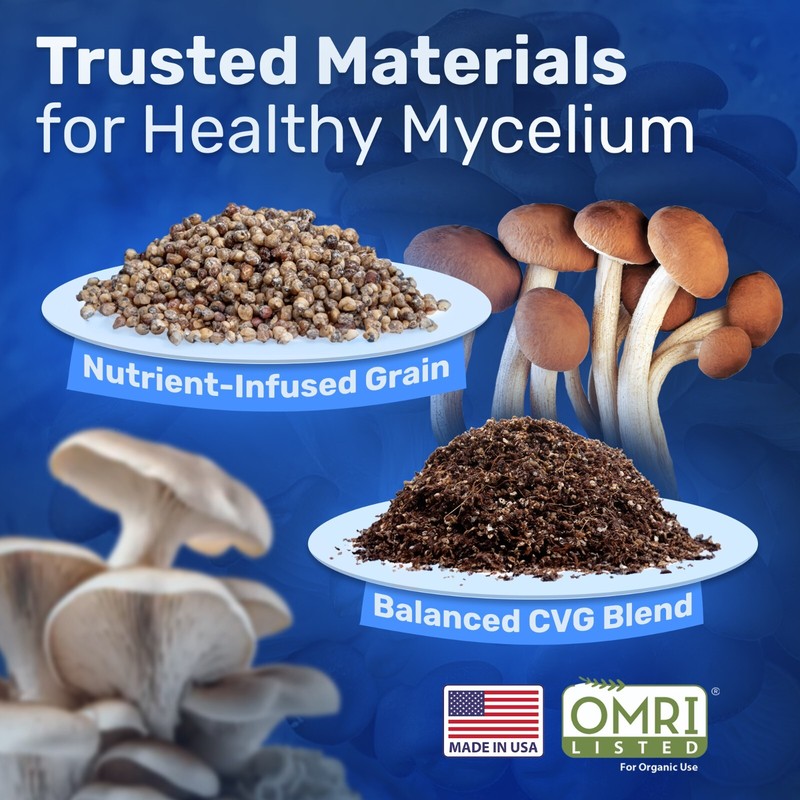 4x All-in-One Mushroom Grow Kit | 2 lb Sterile Grain Bag & 4lb Bulk Substrate gallery