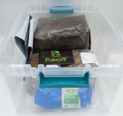 Grow Like Magic – Mushroom Grow Kit, Grain Bags Substrate and Monotub & Bonus