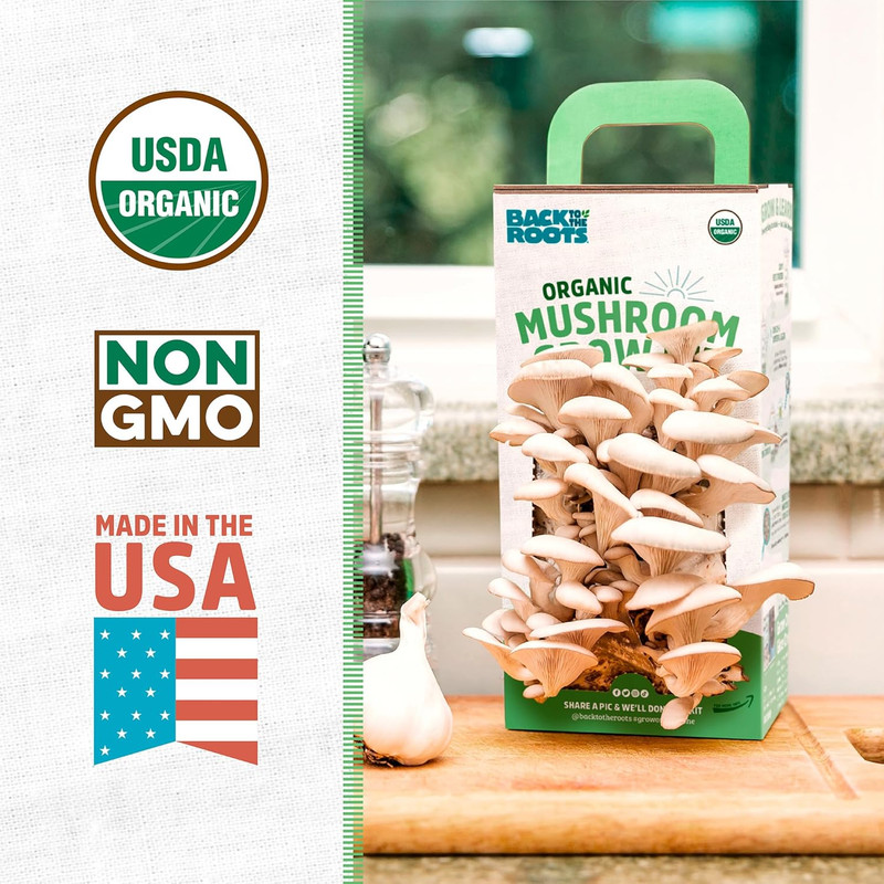 Organic Oyster Mushroom Grow Kit, Harvest Gourmet Mushrooms in 10 Days gallery