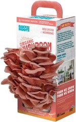 Kit De Cultivo De Hongos Rosados Organicos, Cosecha Hongos Gourmet En 1
