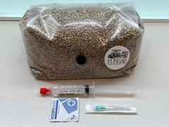 Premium Mycological Grow Kit – Bag XL Organic Rye and Liquid Culture