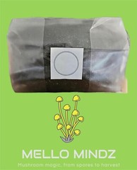 5 lb CVG sterilized mushroom substrate bag