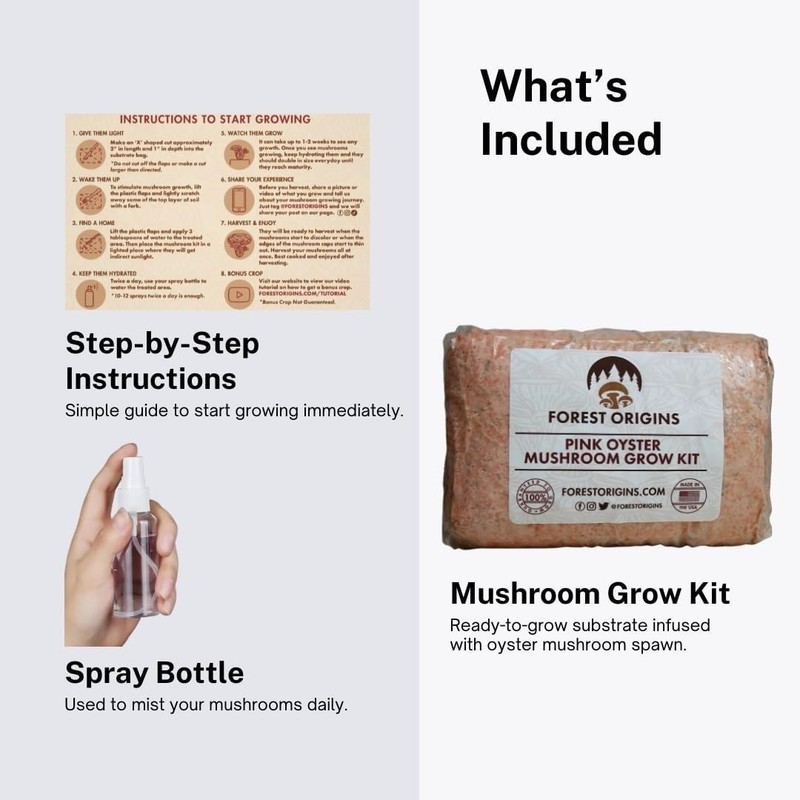 Beginner-Friendly Pink Oyster Mushroom Kit, Grows in 10 Days, Indoor Gardening gallery