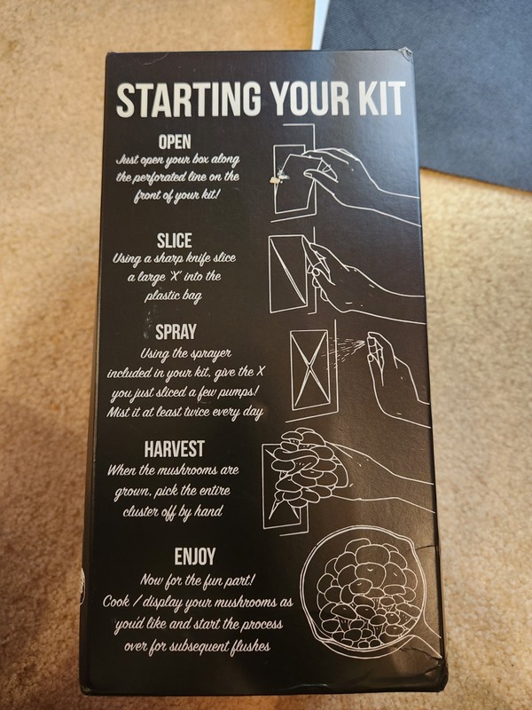 North Spore Organic Golden Oyster 'Spray & Grow' Mushroom Growing Kit gallery