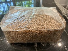 Grain Spawn Bag – Sterilized & Ready to Inoculate