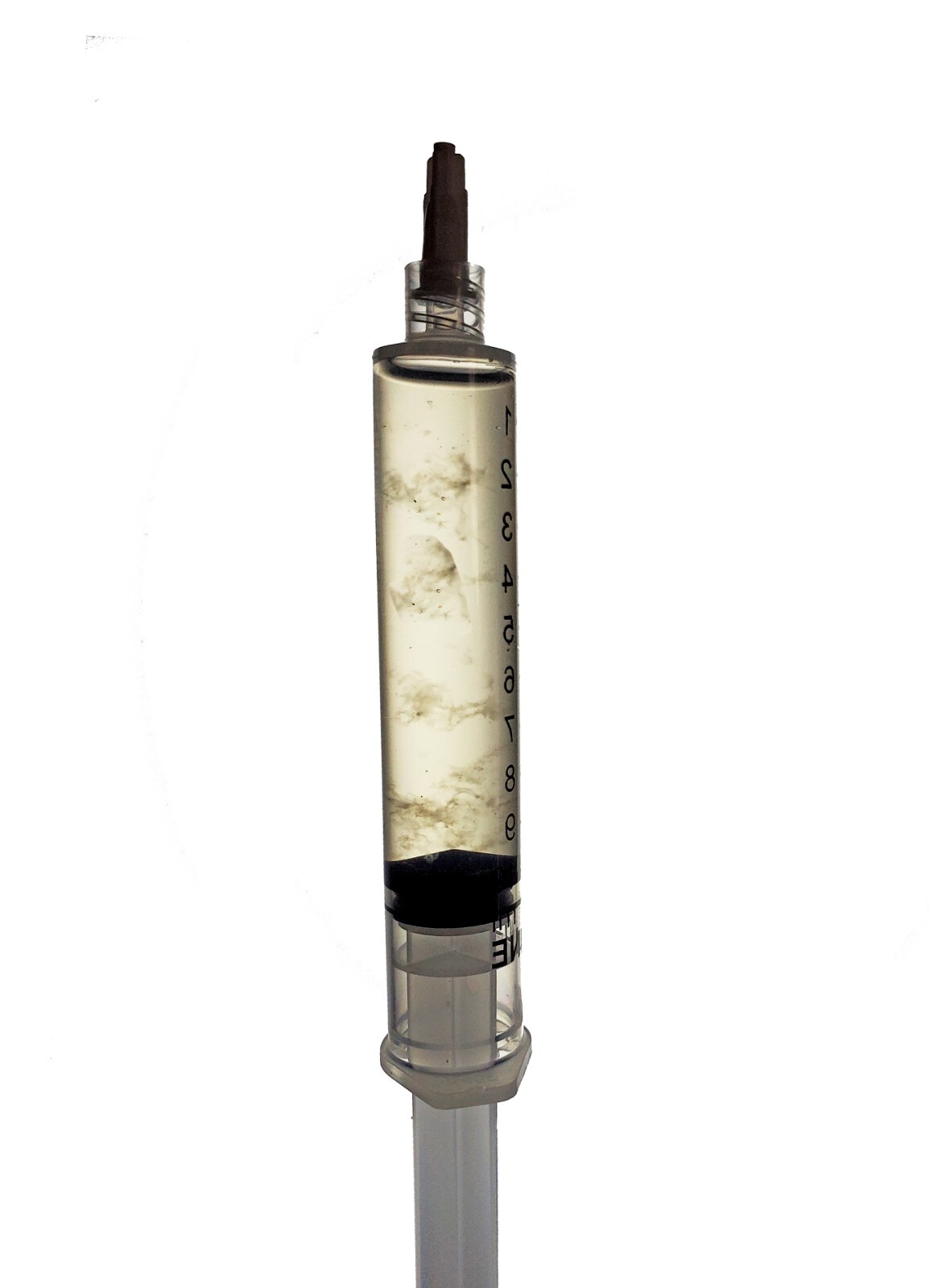 Pink Oyster Mushroom Liquid Cultures gallery
