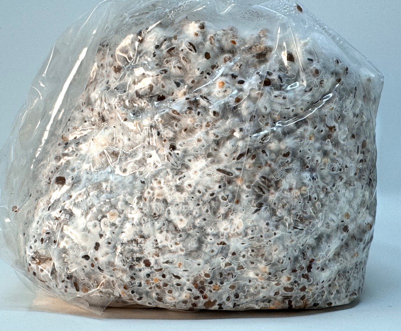 Premium 5-Grain Mushroom Spawn Bags | Sterilized Grain Bags | Injection Ports gallery