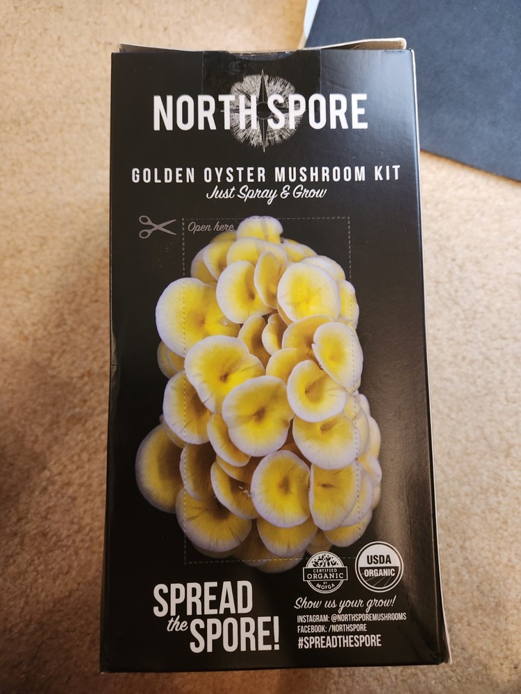 North Spore Organic Golden Oyster 'Spray & Grow' Mushroom Growing Kit