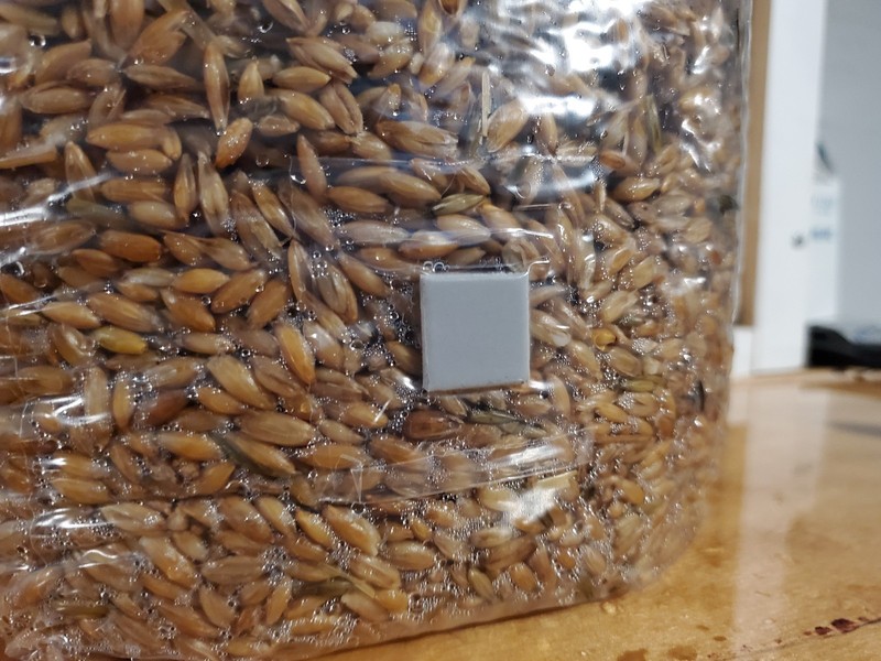 Pre-made Sterile Oat Grain Spawn Bags 3lbs gallery