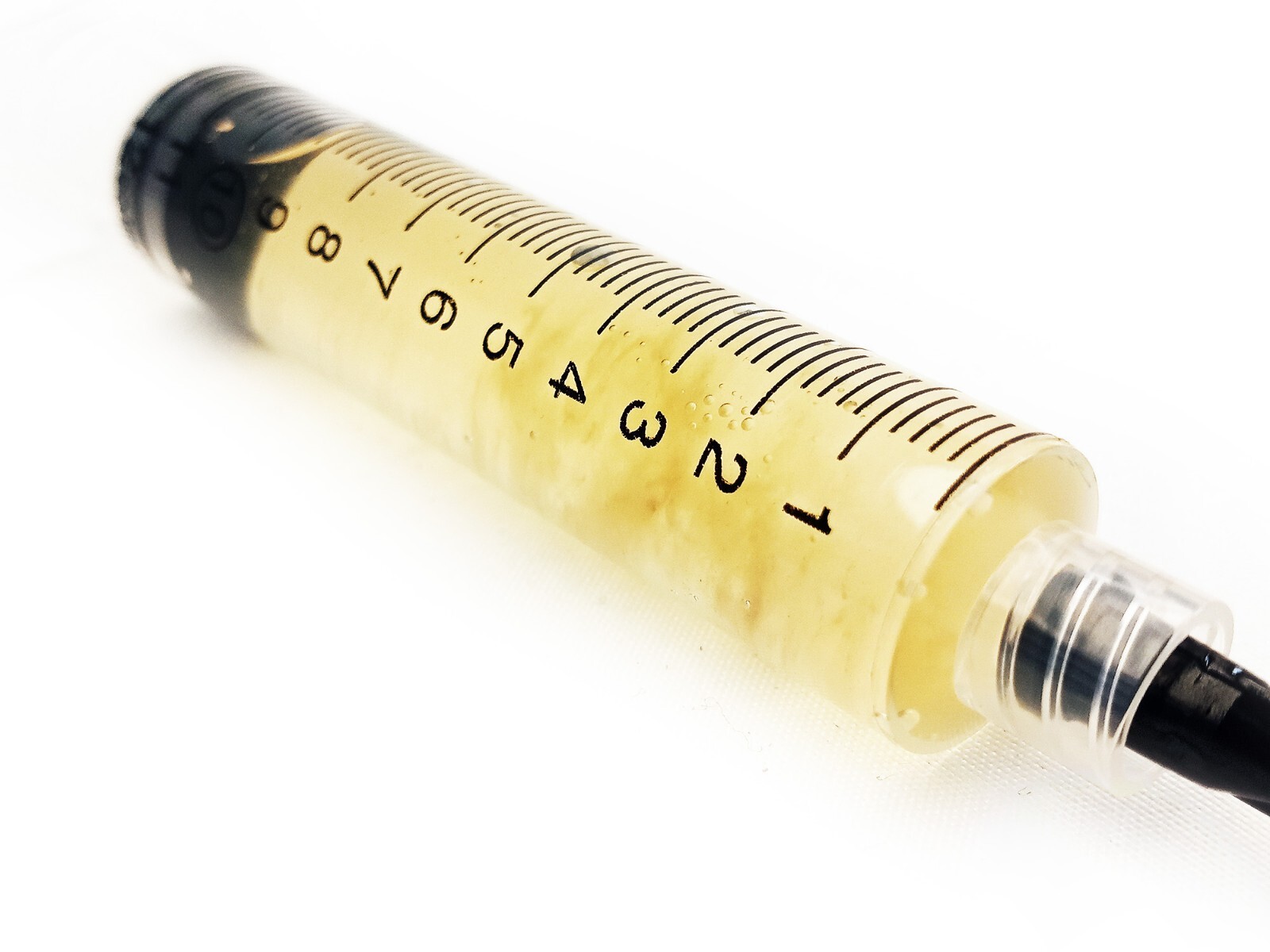 Yellow Reishi Mushroom Liquid Fungi Live Culture Syringe 10ml gallery