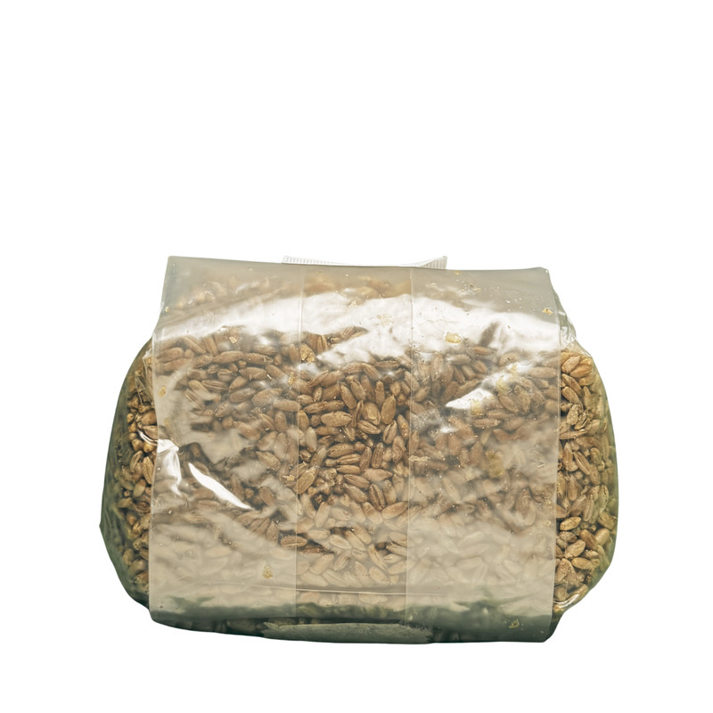 (4 Pack) Rye Spawn Bags - Sterile Grains for Mushroom Cultivation (dung-loving) gallery