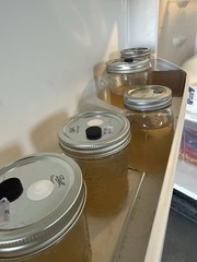6 Wide Mouth Mason Jar Mycology Lids, Liquid Culture, Grain Pawn