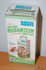 Back to the Roots Organic Mushroom Growing Kit Harvest Gourmet Oyster Mushrooms