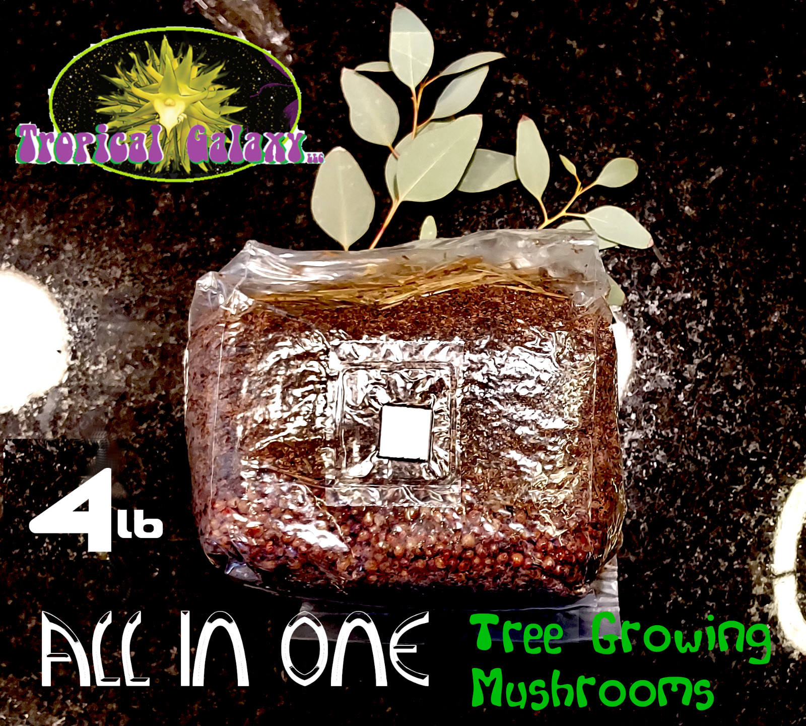 4lb All in One Mushroom Cultivation Bag, Great for Lion's Mane gallery