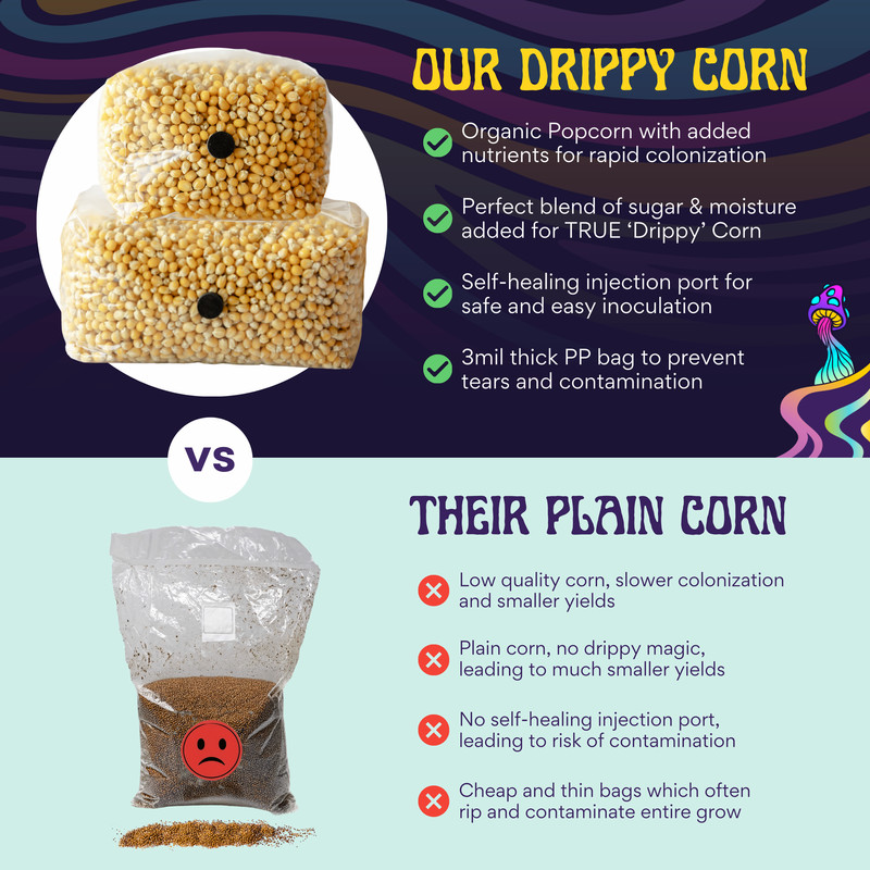 3lb Drippy Corn Grain Spawn gallery