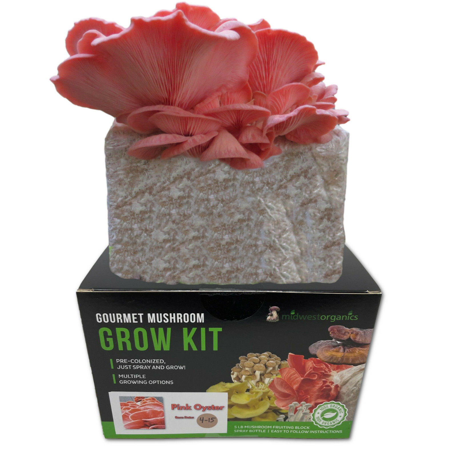 Pink Oyster Indoor Mushroom Grow Kit Ready to Grow! 5 Pound gallery