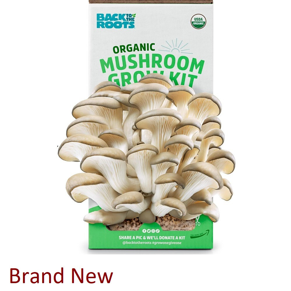 Back to the Roots Organic Mushroom Growing Kit. DIY Indoor Organic Oyster Mushro