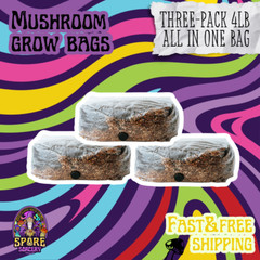 3 Pack | 4LB All-In-One Mushroom Grow Kit | Mushroom Grow Bag