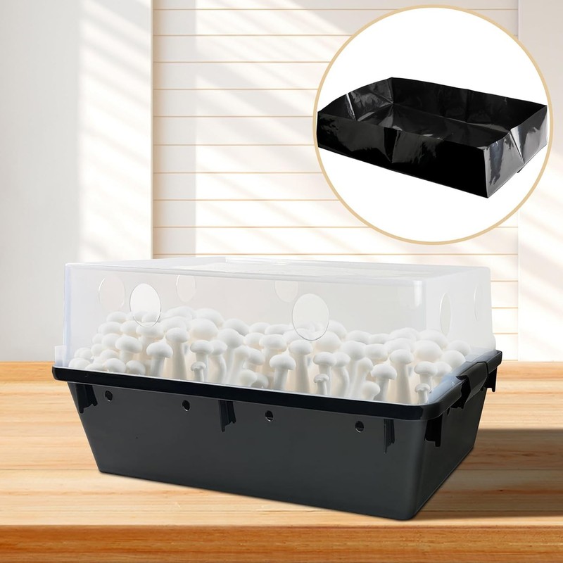 High-Quality Mushroom Growing Liners 15 Pack 19x13x4 Inch for Containers gallery