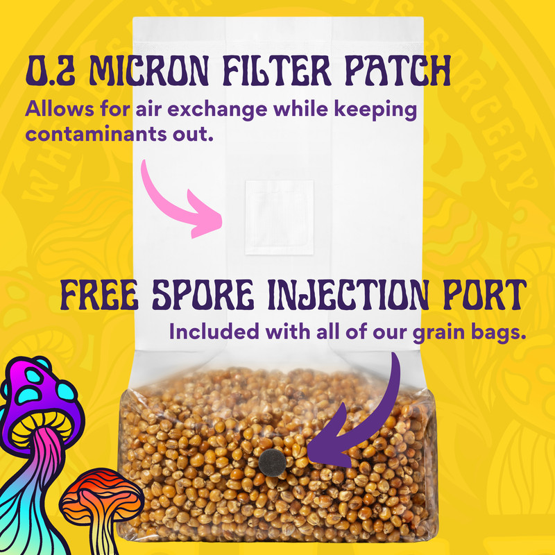 3lb Drippy Corn Grain Spawn gallery