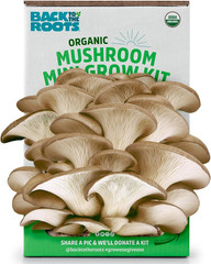 Organic Mini Mushroom Grow Kit, Harvest Gourmet Oyster Mushrooms In 10 days, Top