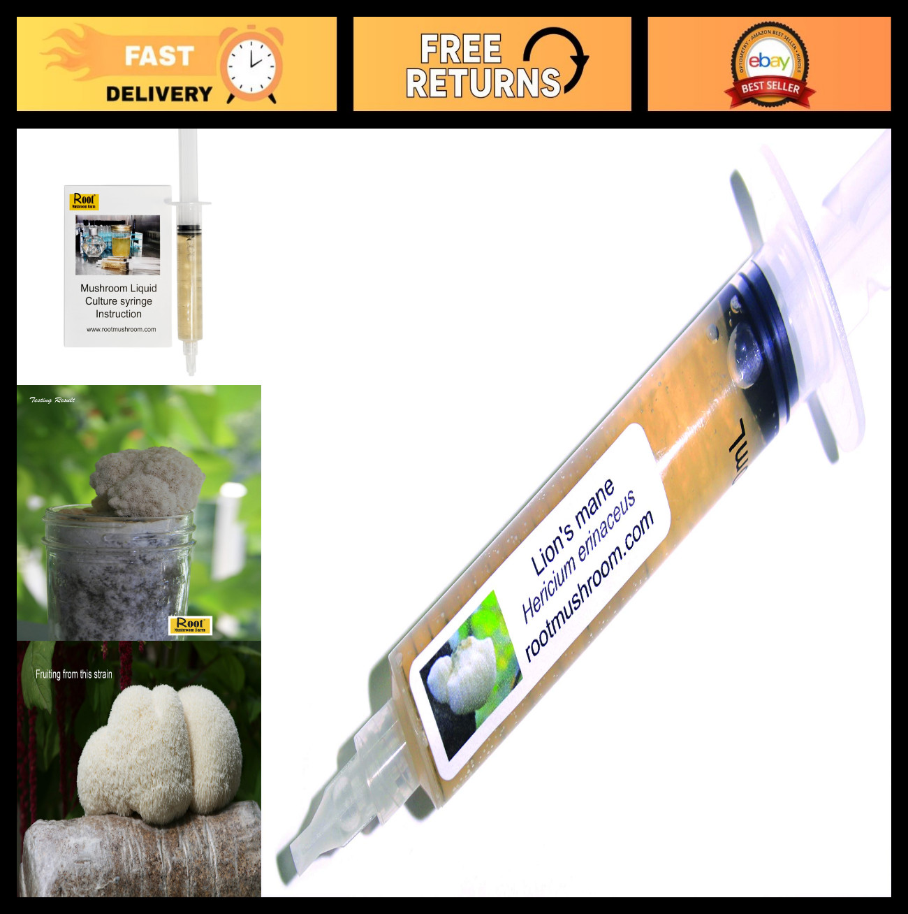Mushroom Liquid Cultures - Lion's Mane (Hericium erinaceus) for Home Farming gallery