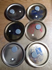 6 Wide Mouth Mason Jar Mycology Lids, Liquid Culture, Grain Pawn