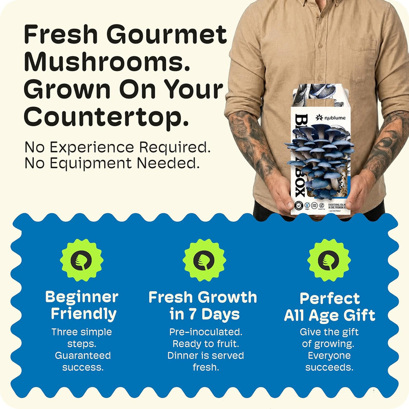 Bloombox Blue Oyster Mushroom Grow Kit – Spray & Grow – Pre-Inoculated Indoor Mu gallery